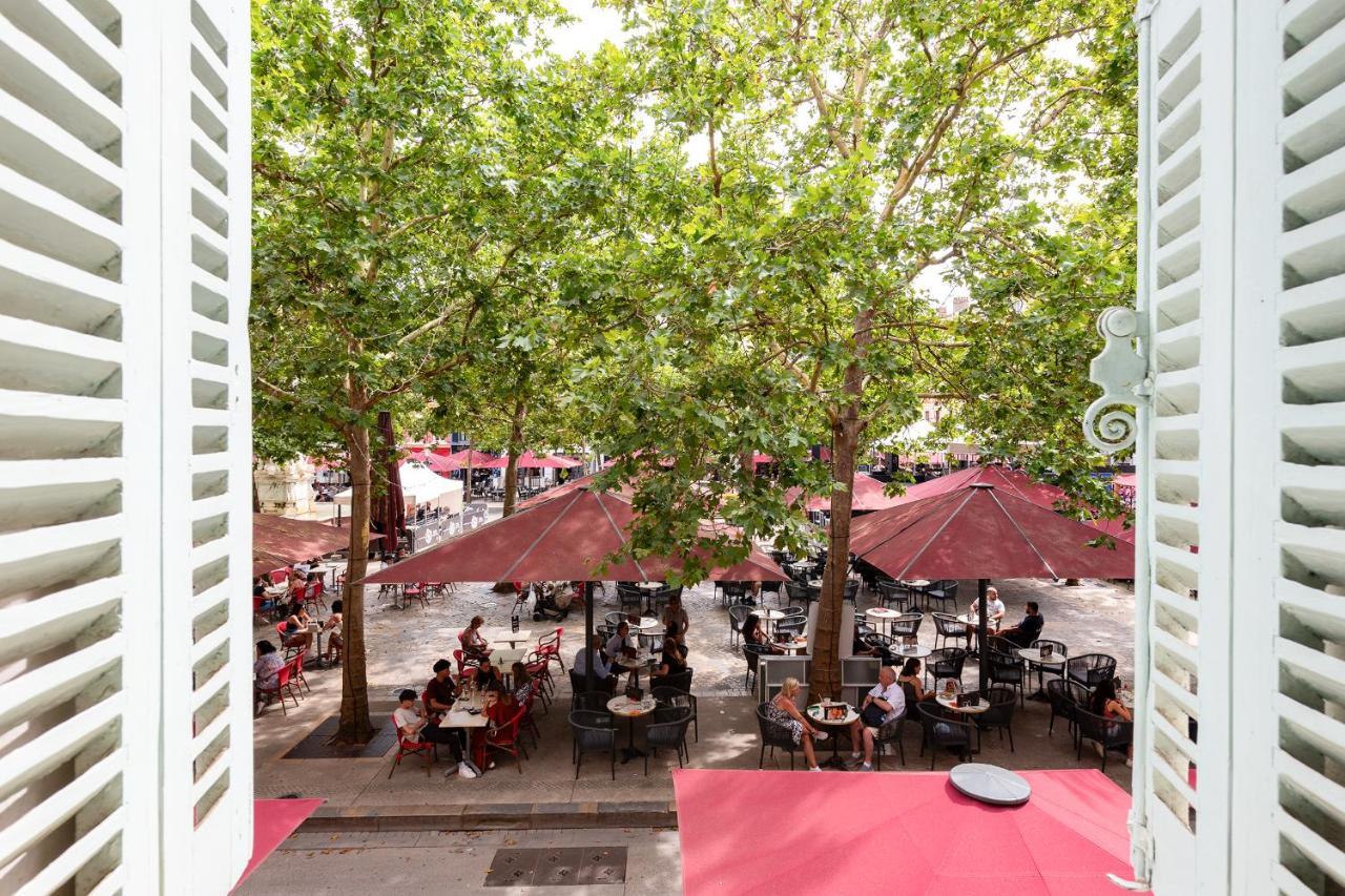 *Chic & Basic T3* Place Carnot Carcassonne Bagian luar foto